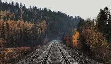 resize_600x600_kendrew-schexnider-m5hku-tbgaa-unsplash